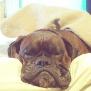 Meet your Posher, Adam